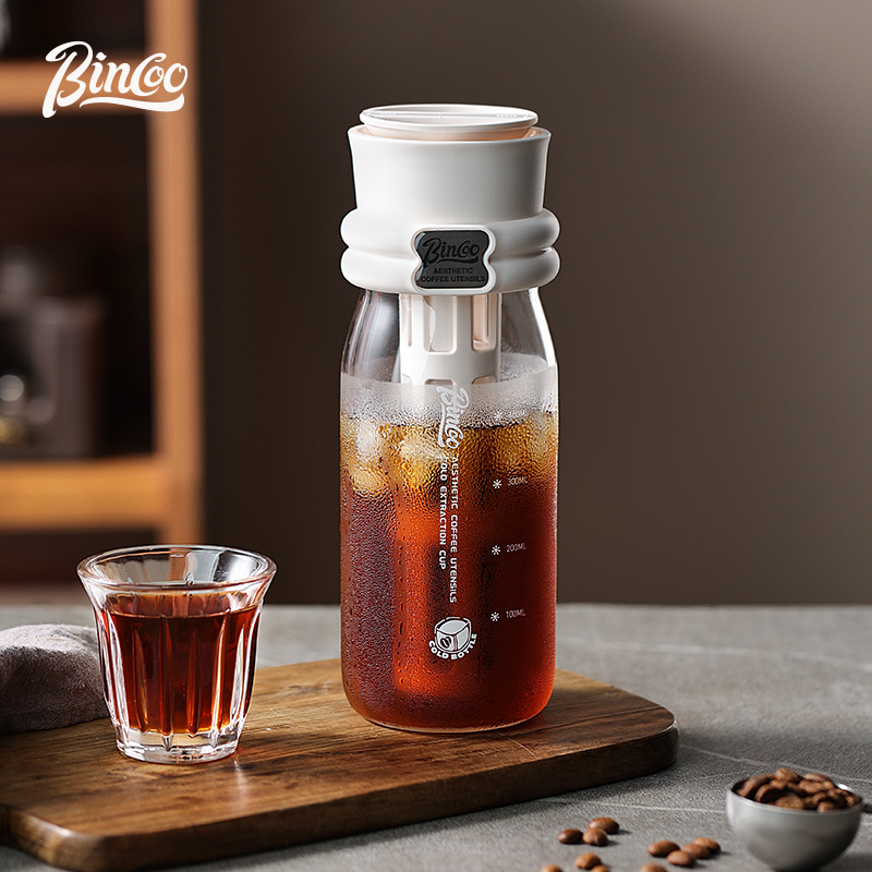 Bincoo 600ML Yazlık Soğuk Deml - Cold Brew Bottle incelemesi ve fiyatı